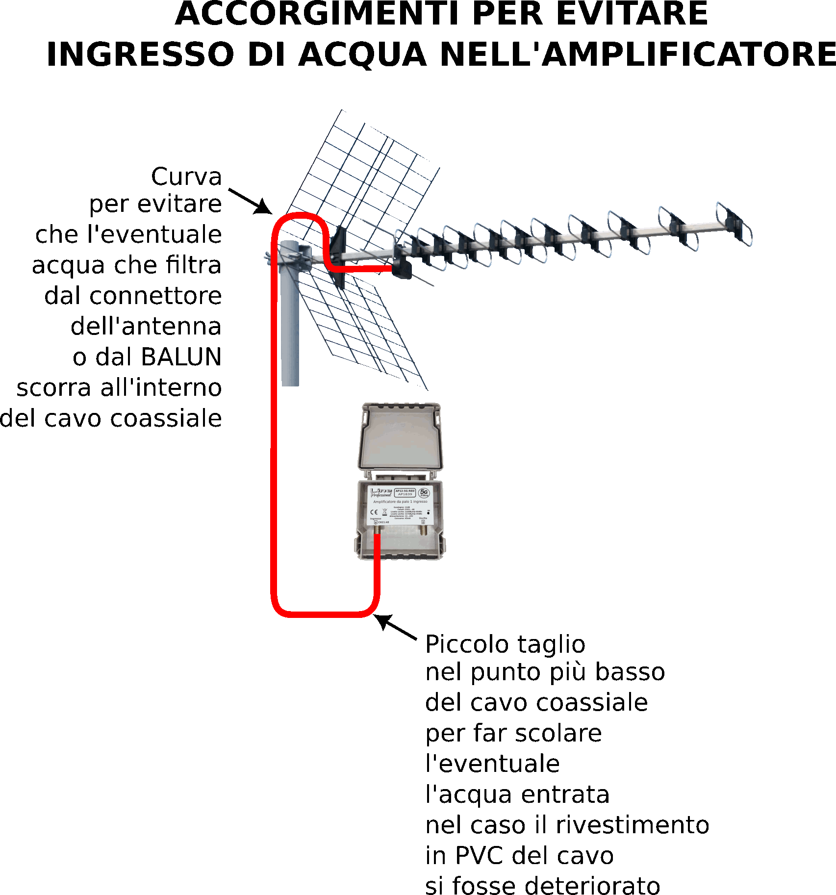 Odoo • Testo e immagine